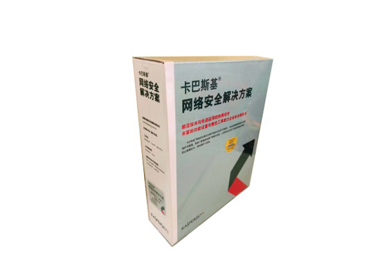 Kaspersky_网络安全解决方案